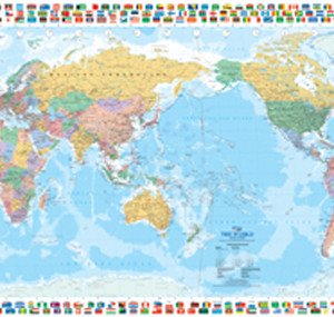 WLD007_World_with_Flags_Small